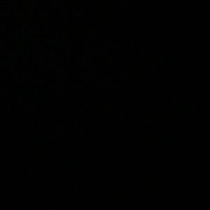 Meet your Posher, Esther